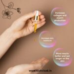 4_20250126_215531_0003